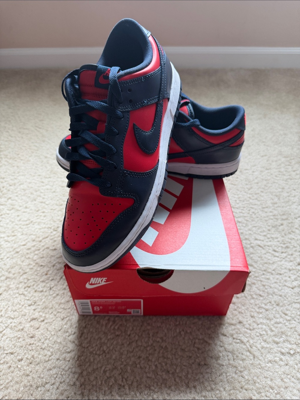 Nike Low-Top Sneakers in Red and Navy Blue